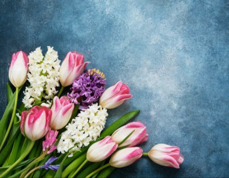 tulips & hyacinths