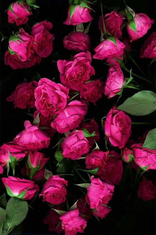 flowers