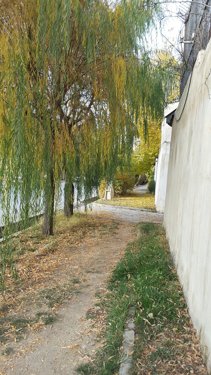 fall