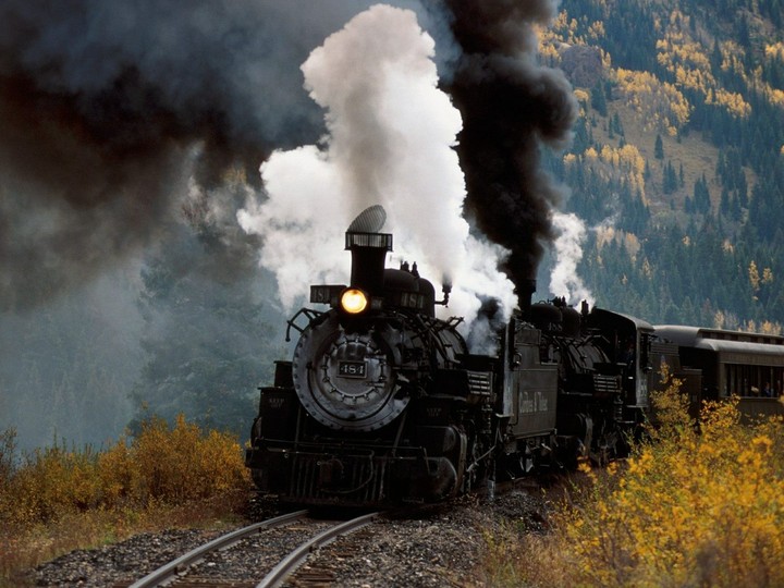 Train With nature harm