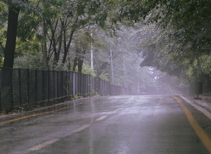 Nature and Road