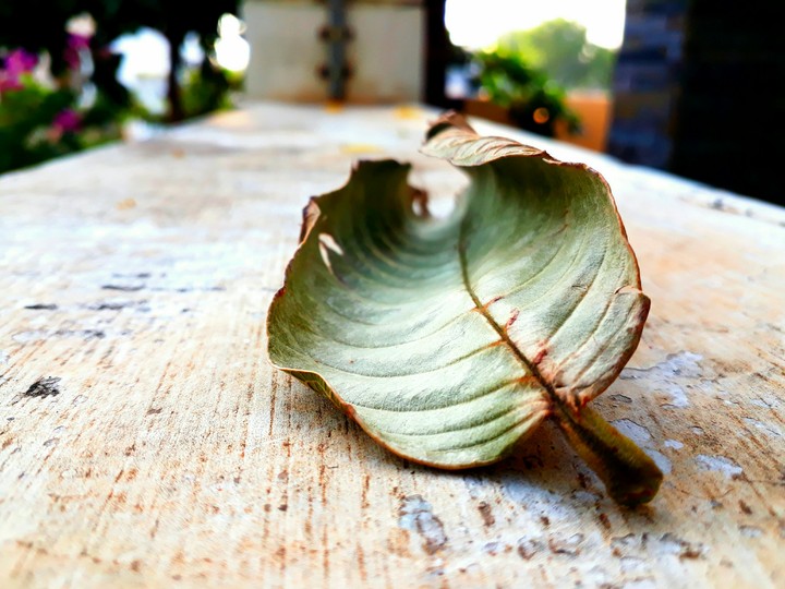 Shriraam photography..