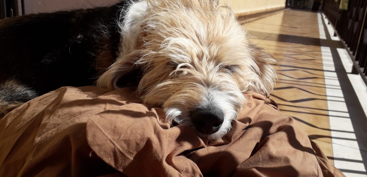 Dolce dormire...