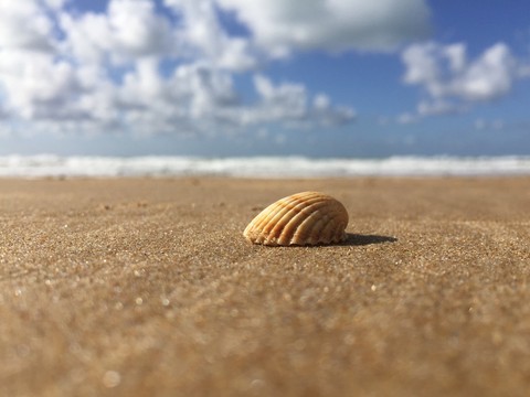 sea