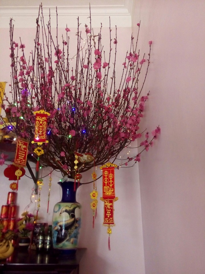 happy new year 2016