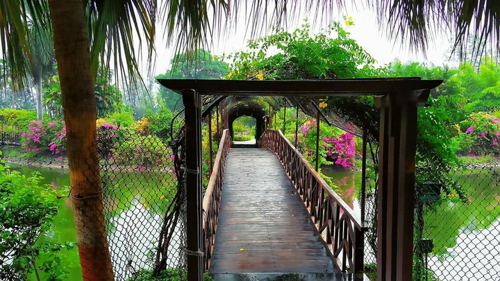 nature beautiful