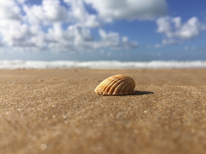 sea