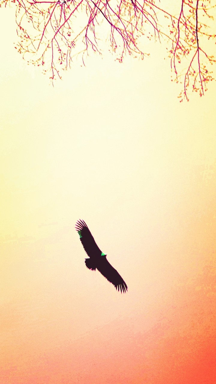 hi sky!