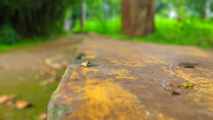 lonly bench by jk
