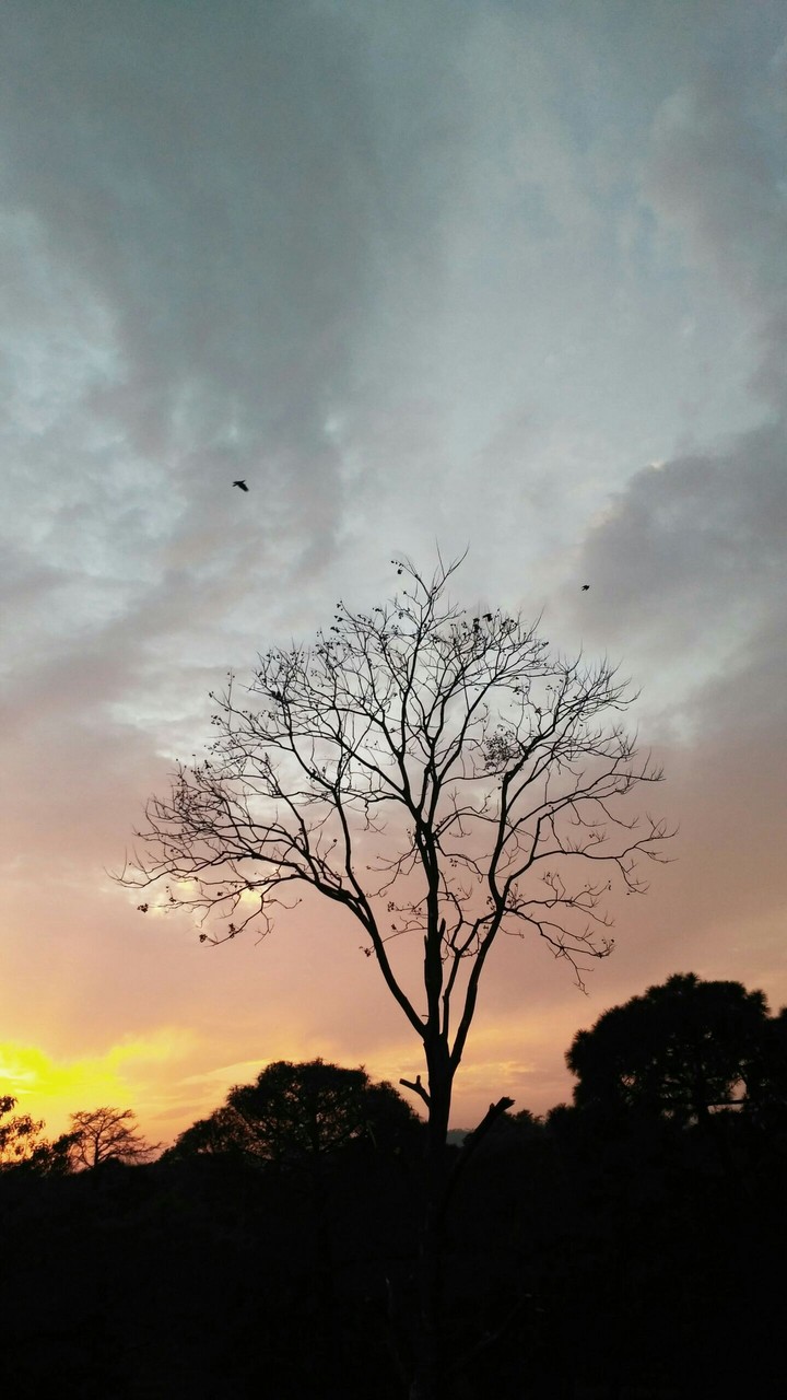 sunset time