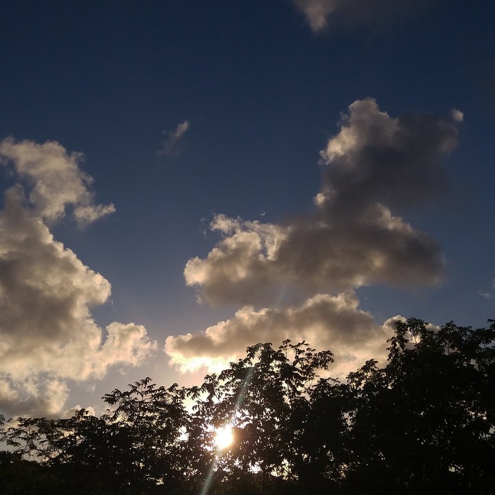 natureza