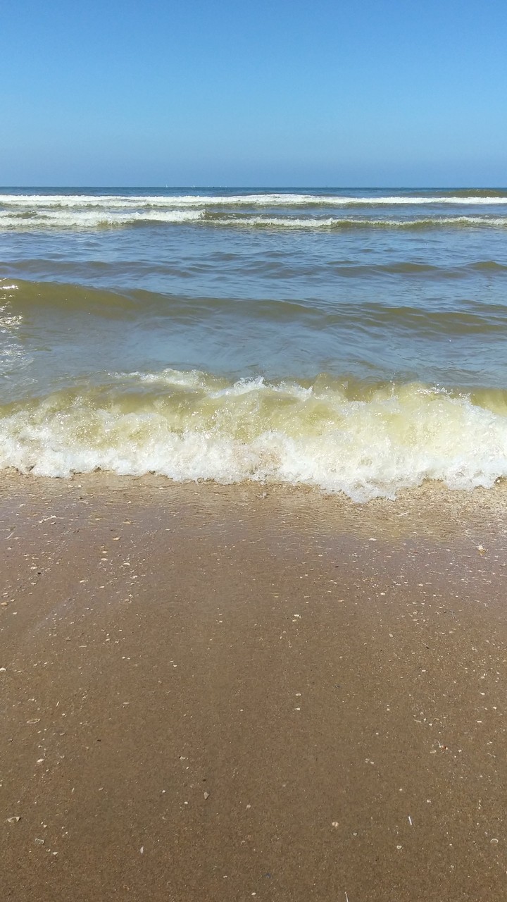 Scheveningen