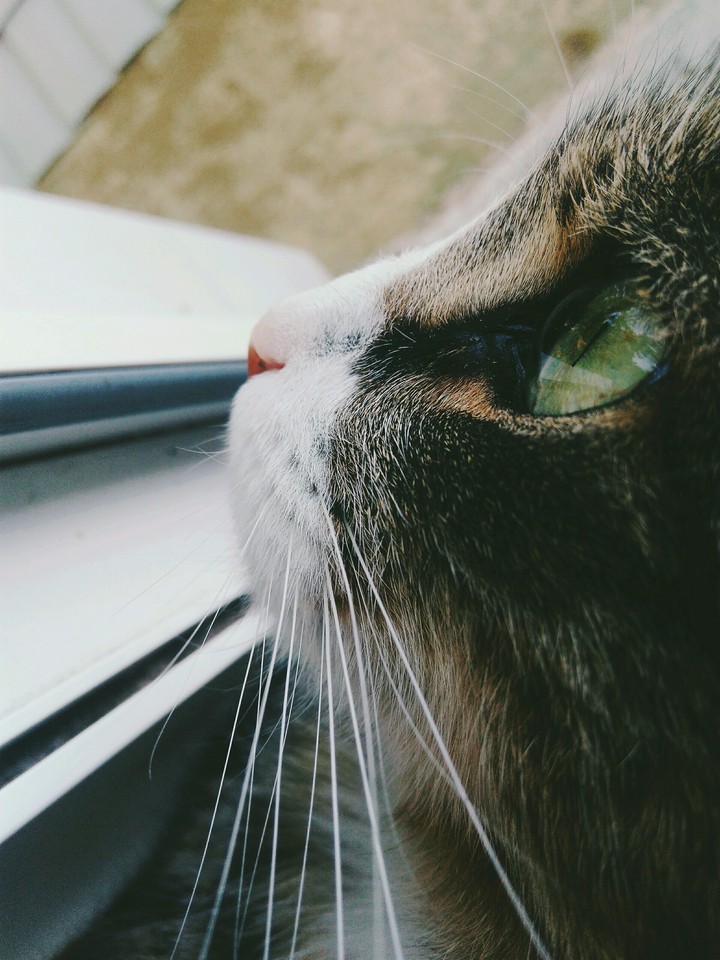 :)