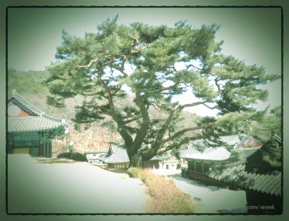 학림사