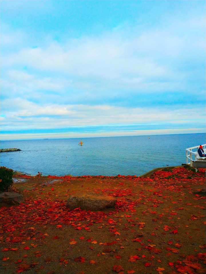 Autumn and Sea