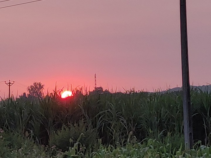 sunset