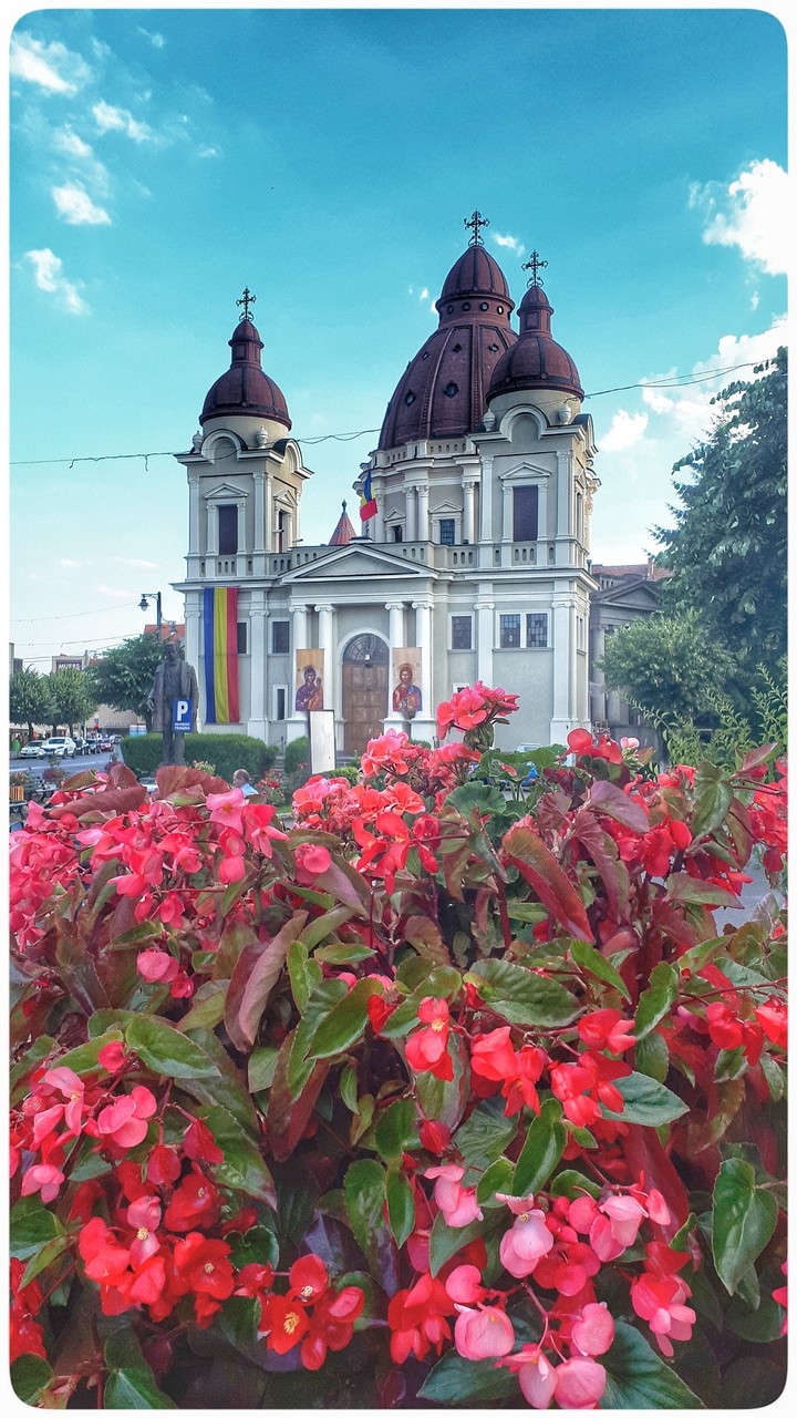 Targu Mures