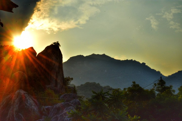 nature