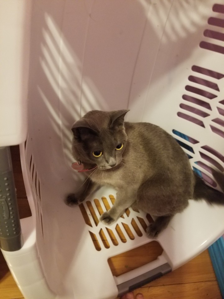 .