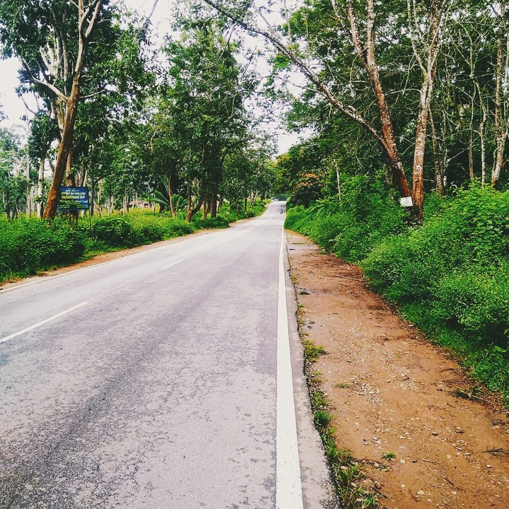 Travel diaries