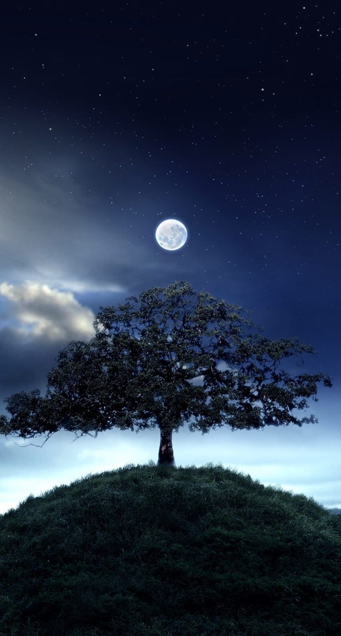 tree