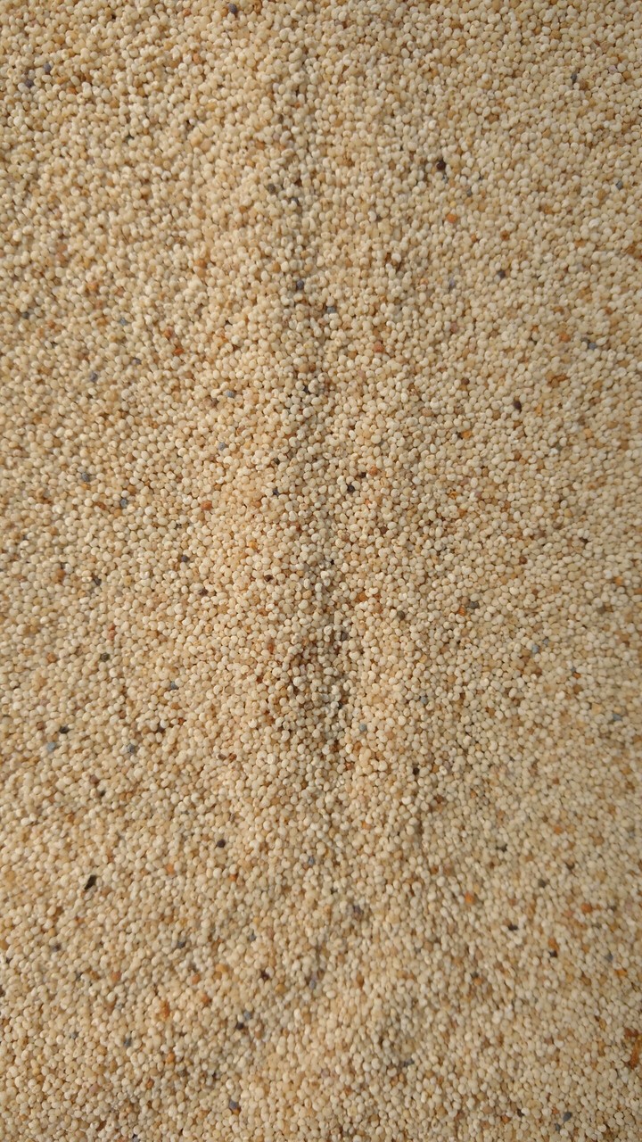Pattern
