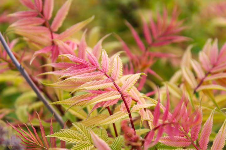 Hello, autumn