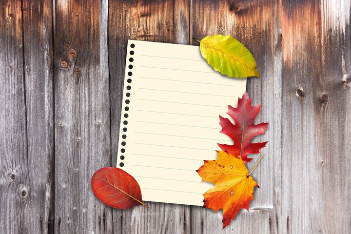 Make a list of party plan..