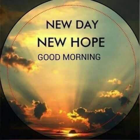 good morning have a nice day