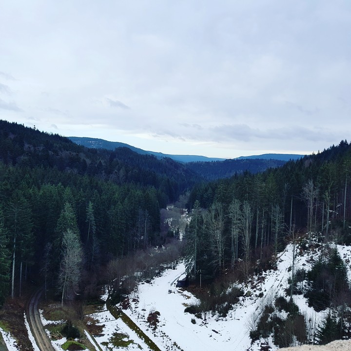 Schwarzwald Staustufe