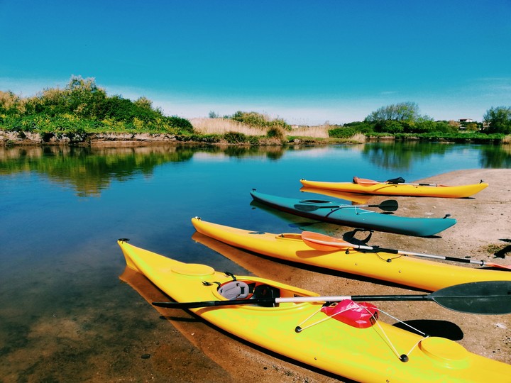kayak
