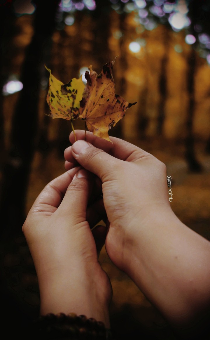 autumn