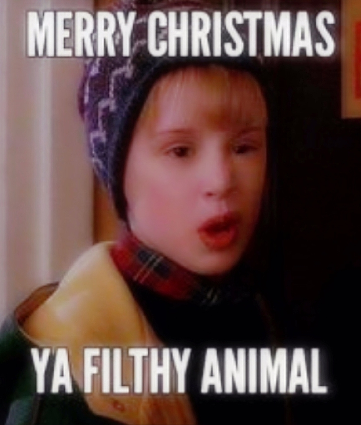 Home alone ya filthy animal