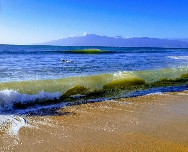 Maui