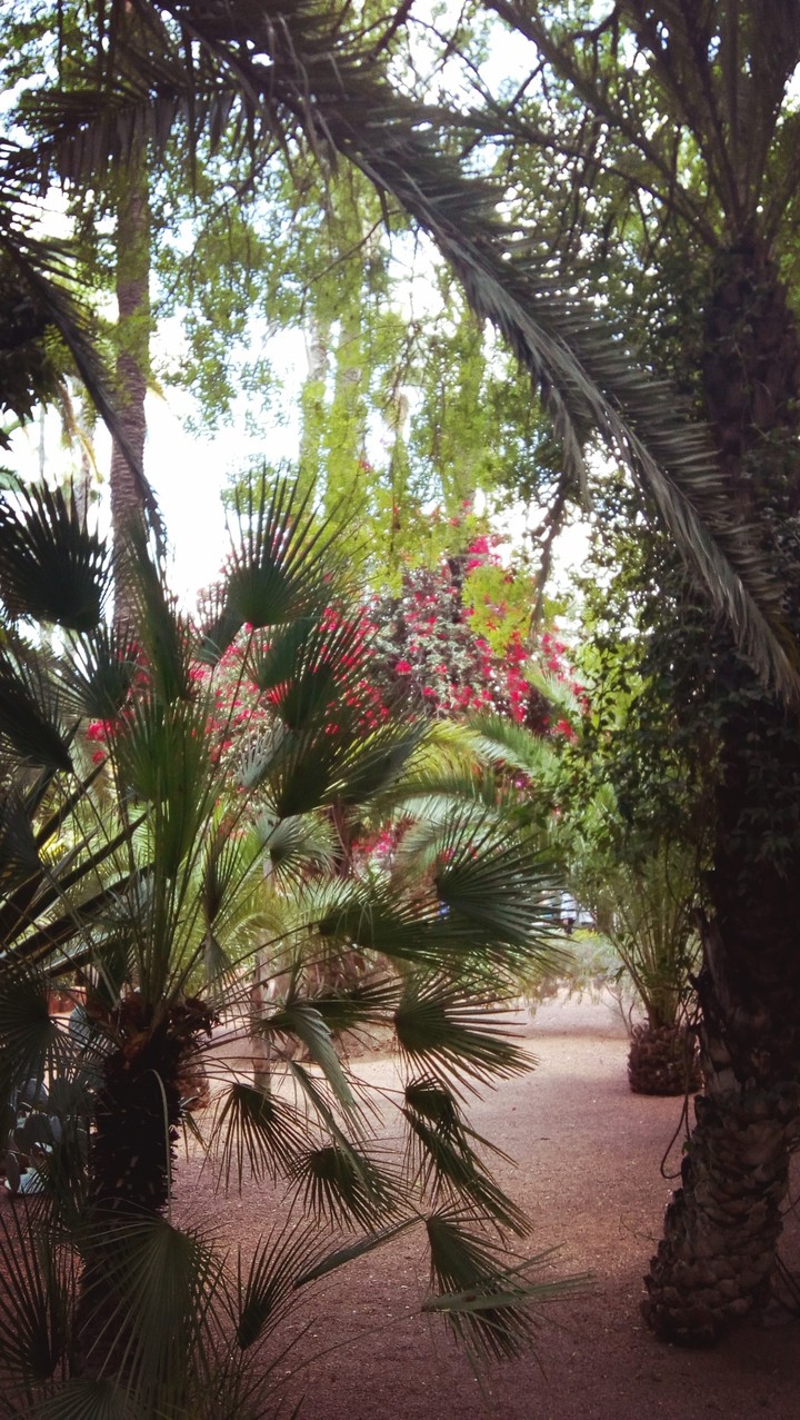 Marrakech ♥️