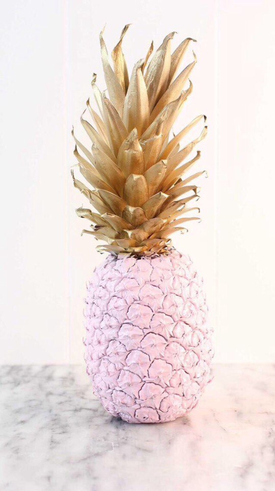 Pineapple♡♡♡
