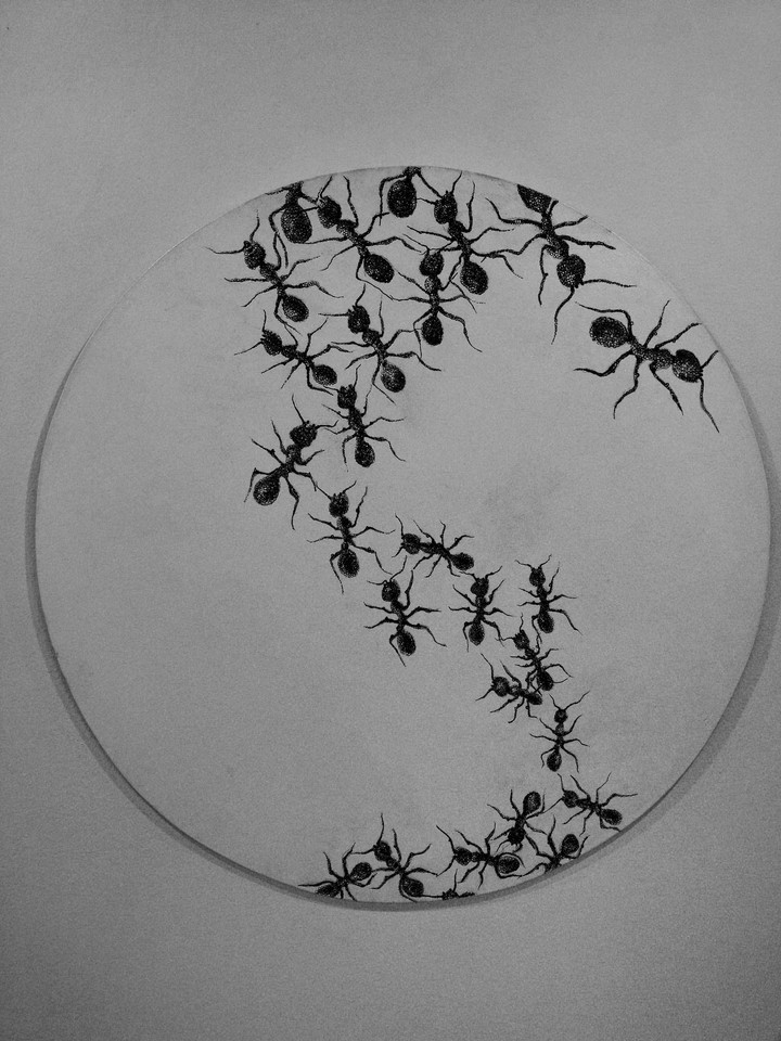 fine art