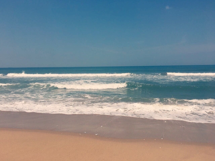 Vitamin Sea
