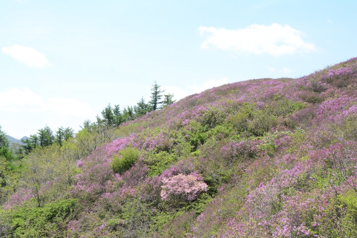 지리산이미지
