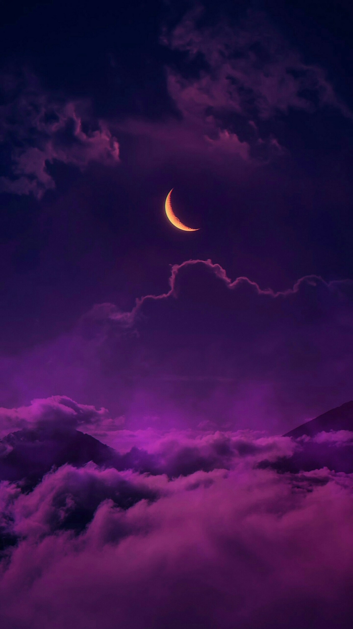 ✨❤️ Purple Rain ❤️✨