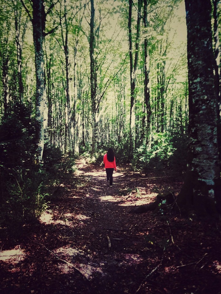 walking to the jungle