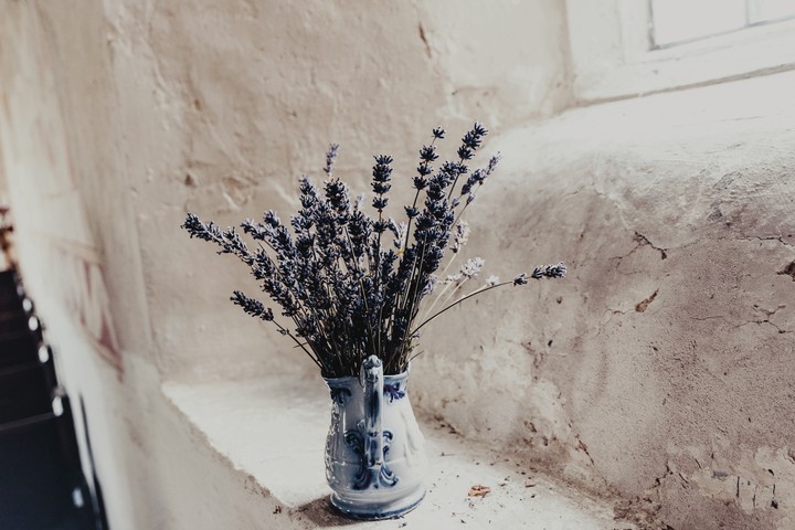 flowers-4