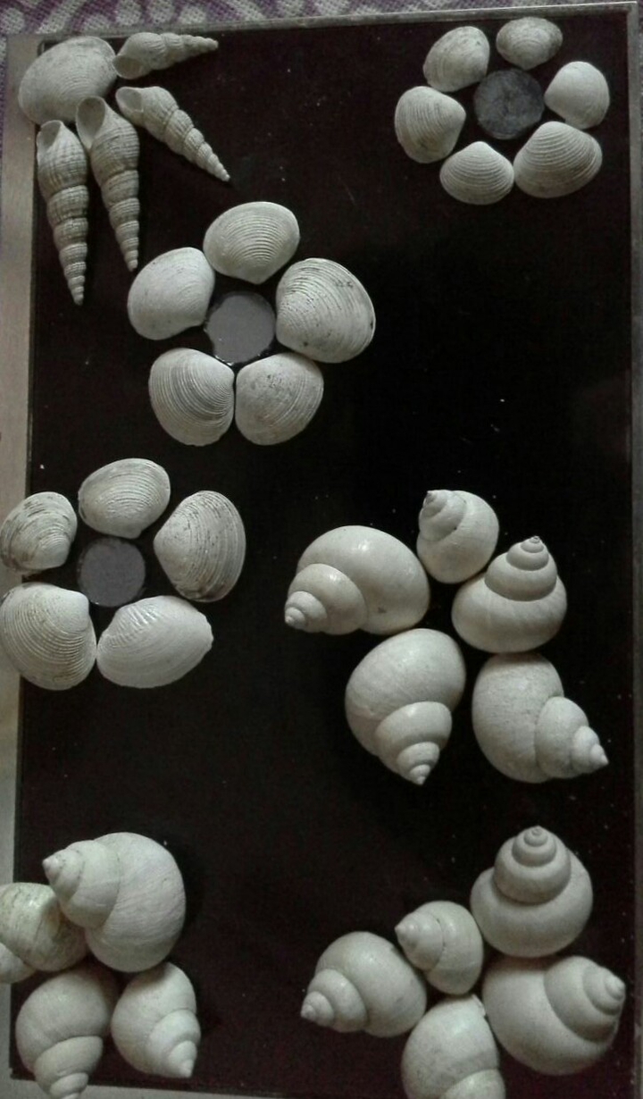 Shell