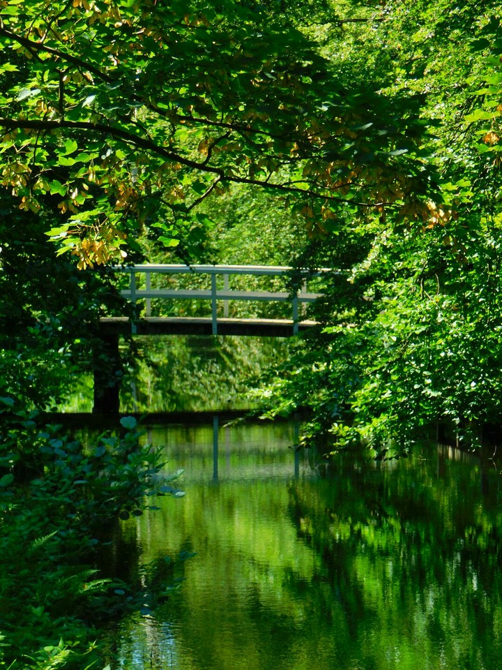 Der Moment der Ruhe
