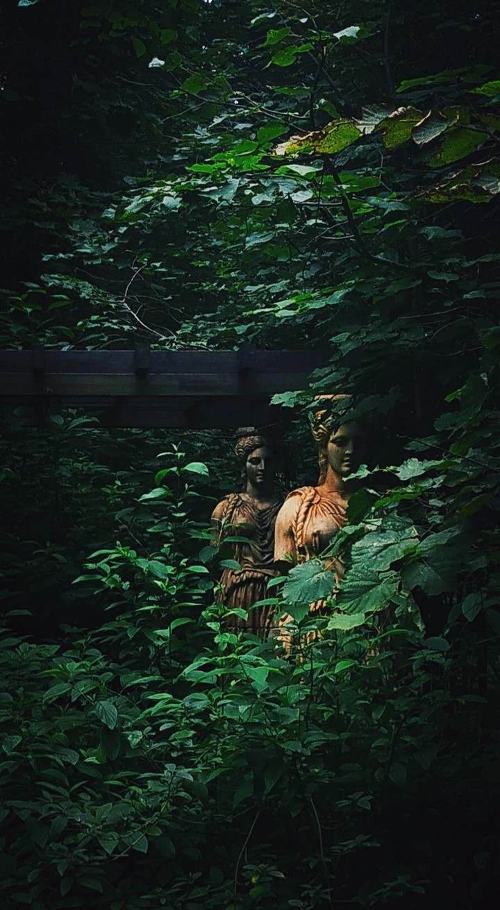 Gorky park
