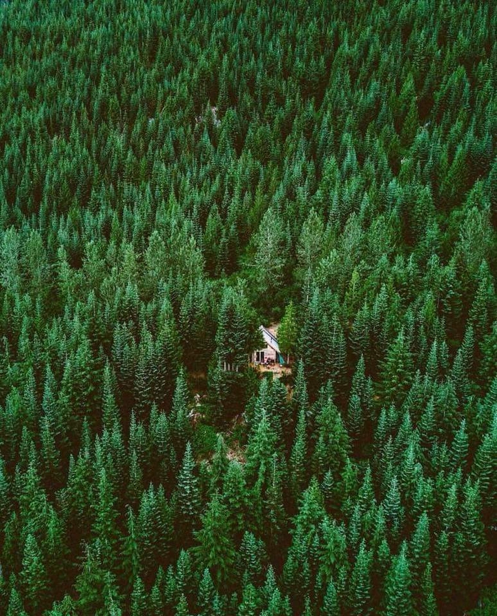 Greens