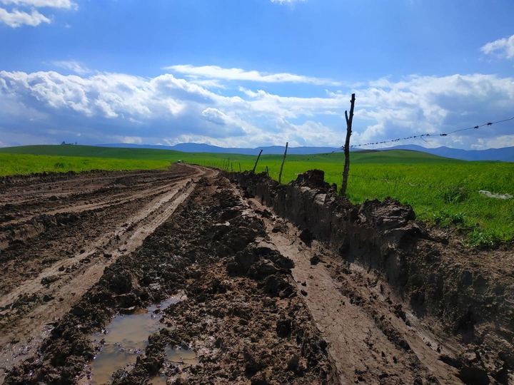 kurd
