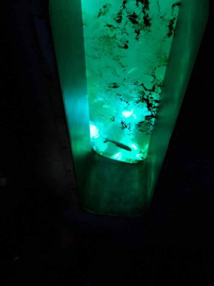 submarine skylight