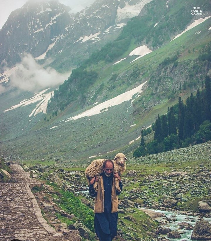 kashmir
