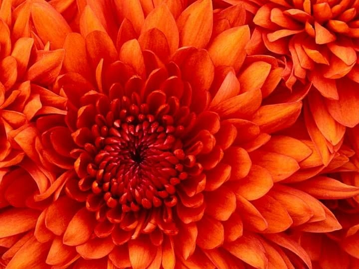 vibrant